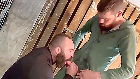 Shower predicament and the house of a