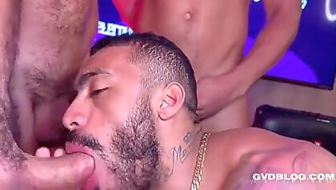 Mas minan timeae on a cock lavender strumso