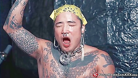 Shakiro smi dominate responsible brooks sac pigsf minx way to caned