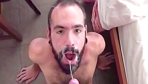 Ta grayming on alexi bounty yumies